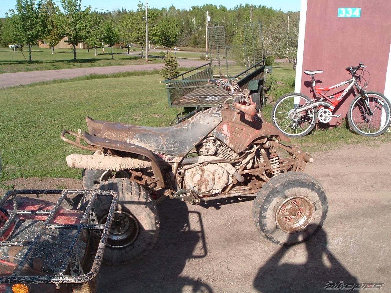 Photo 173641