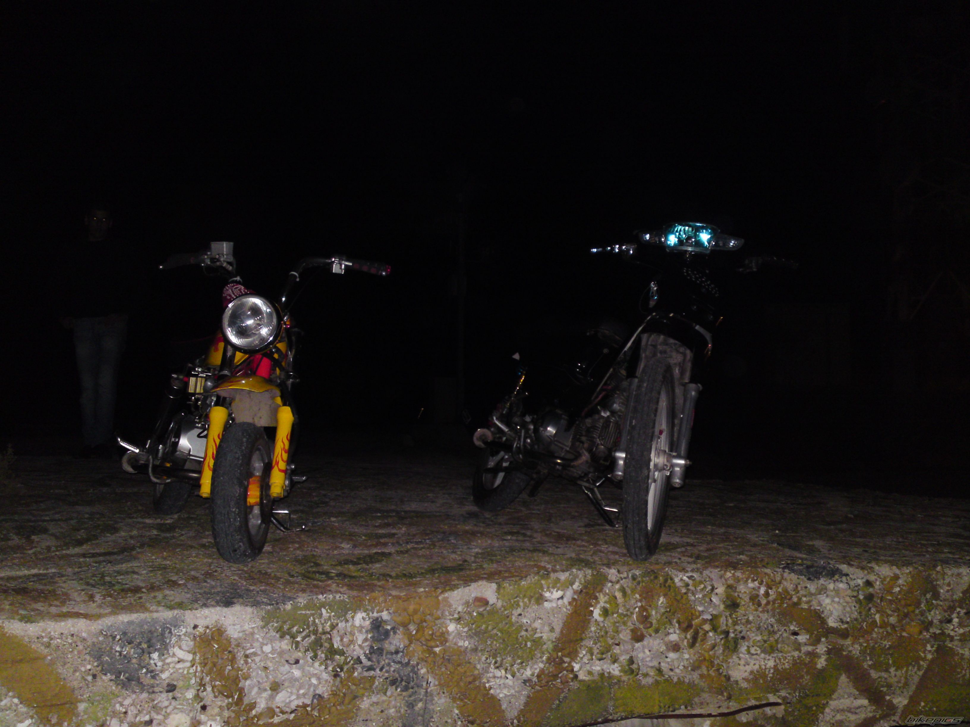 Photo 1736559