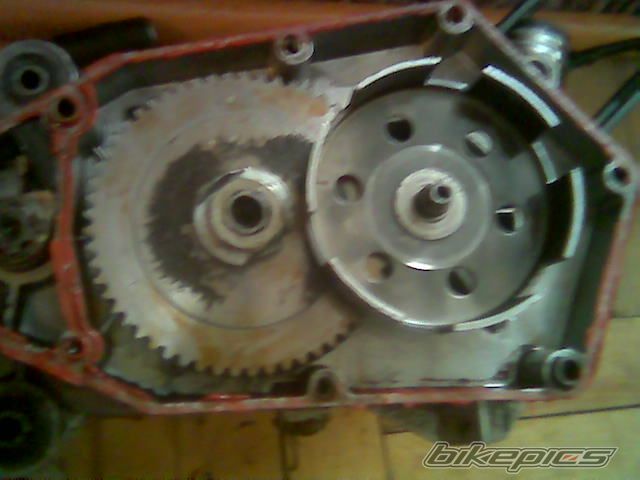 Photo 1736633