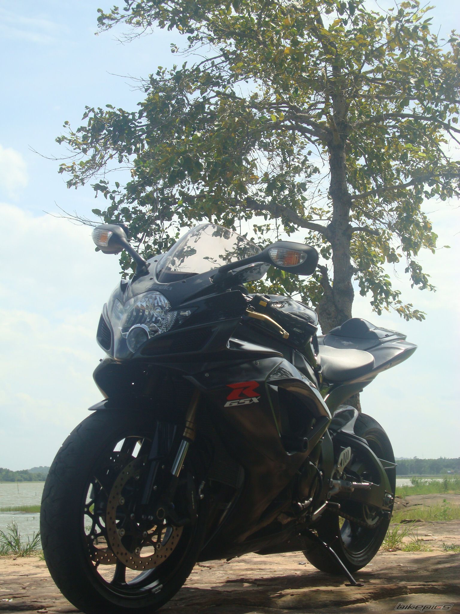 Photo 1736645