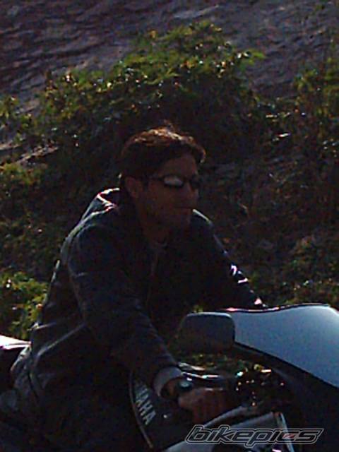 Photo 173674