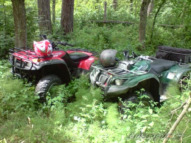 Photo 1736743