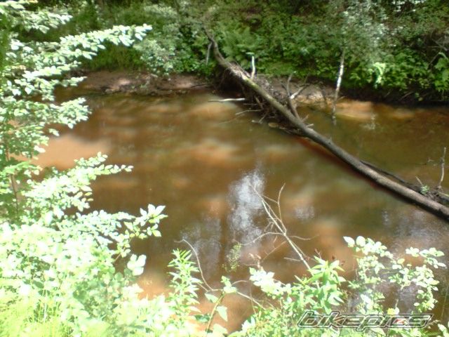 Photo 1736745