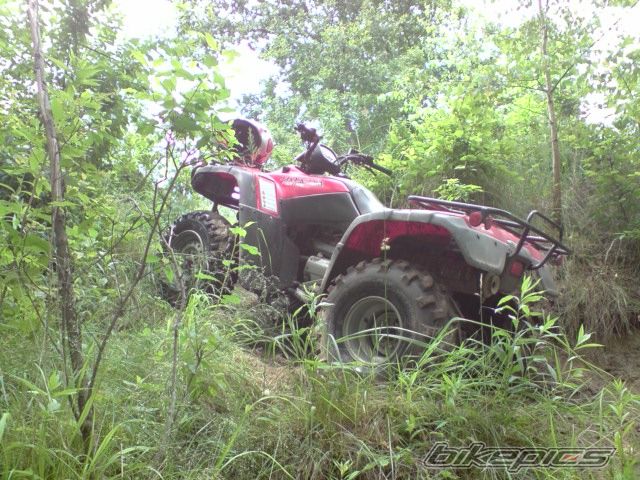 Photo 1736755