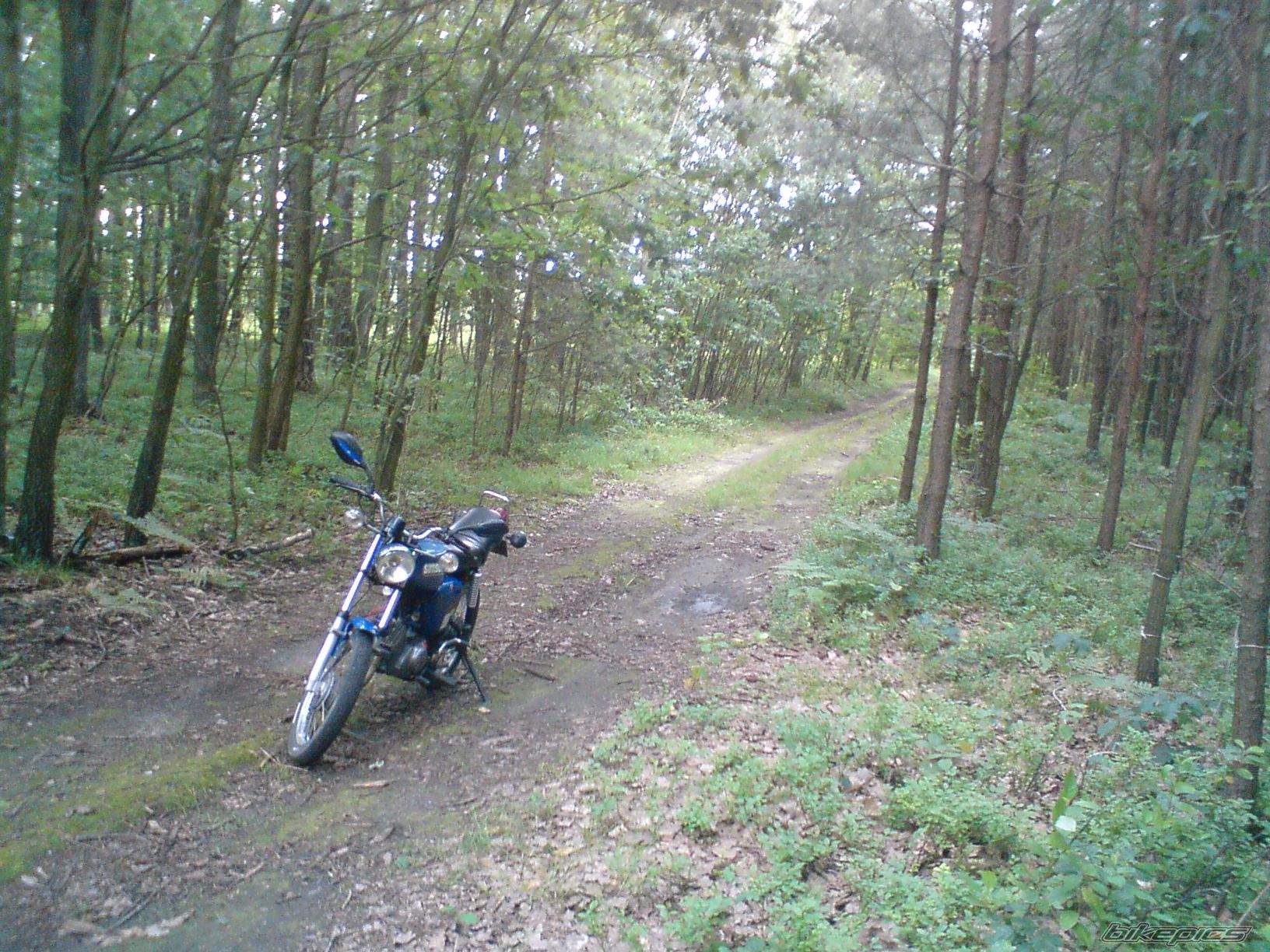 Photo 1736778