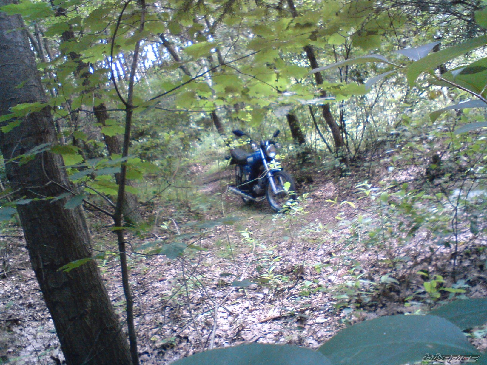 Photo 1736780