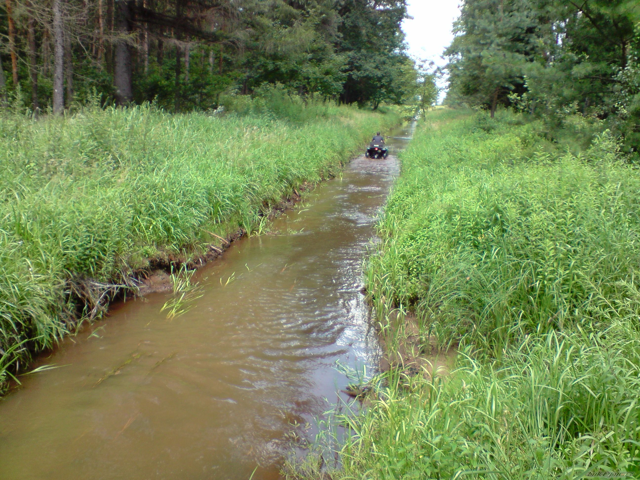 Photo 1736783