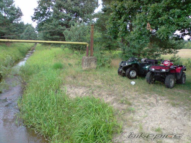 Photo 1736786