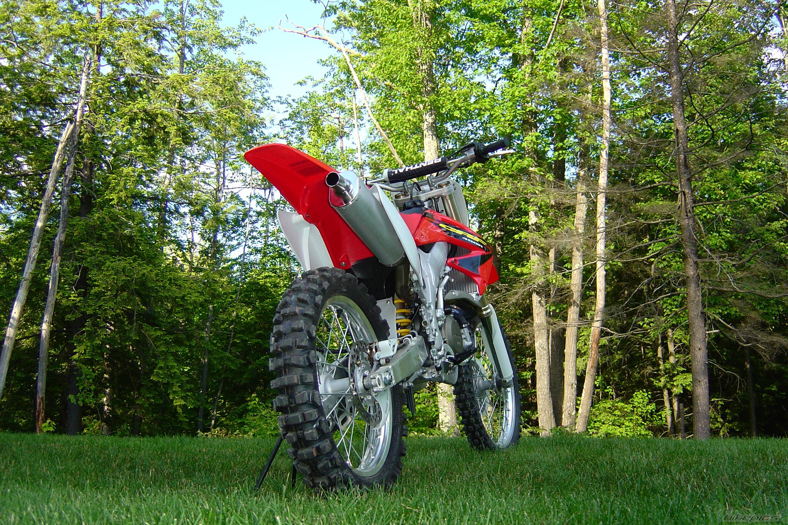 Photo 173682