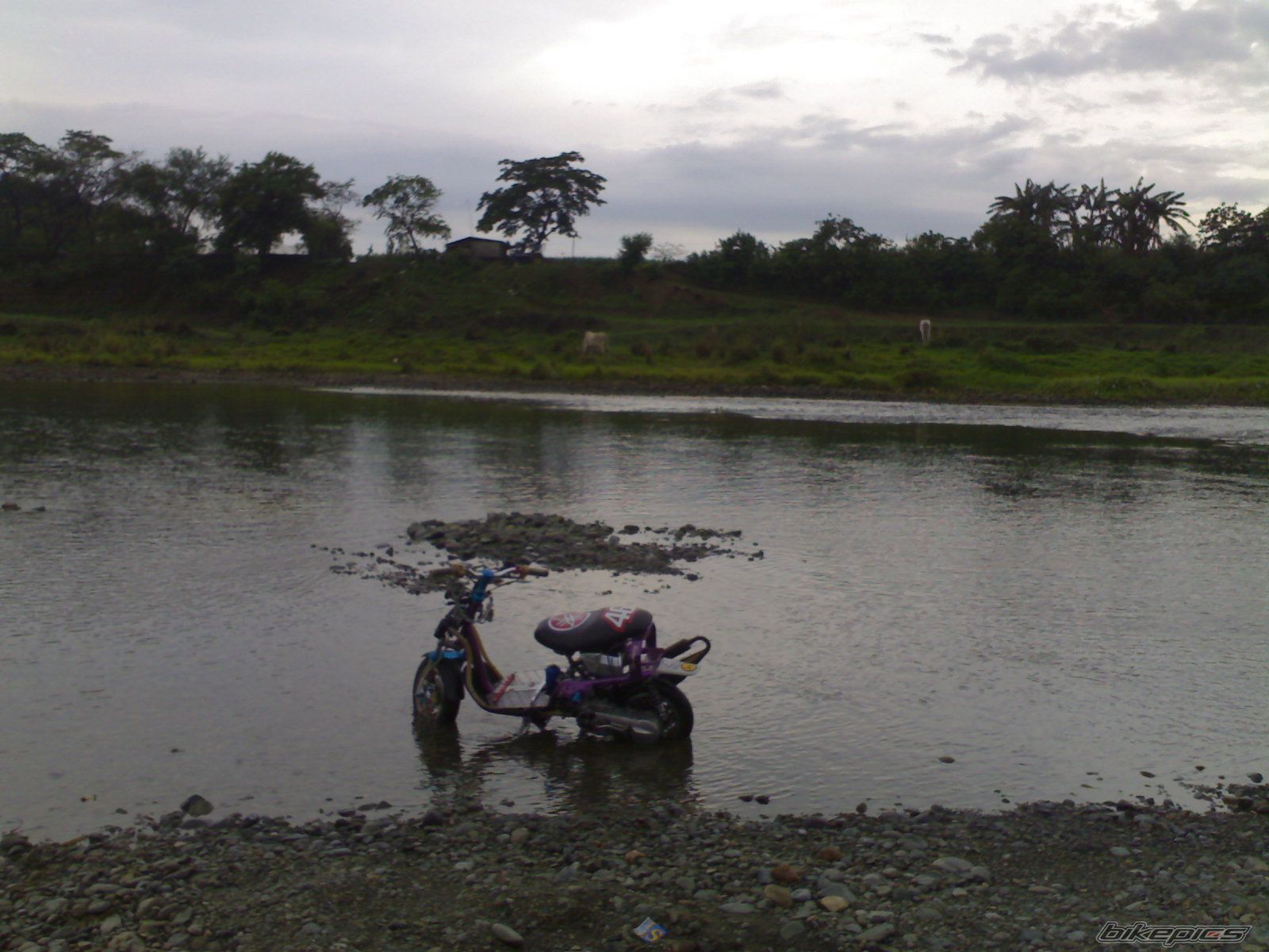 Bike Photo 1736875