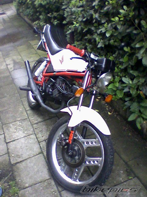 Photo 1736928