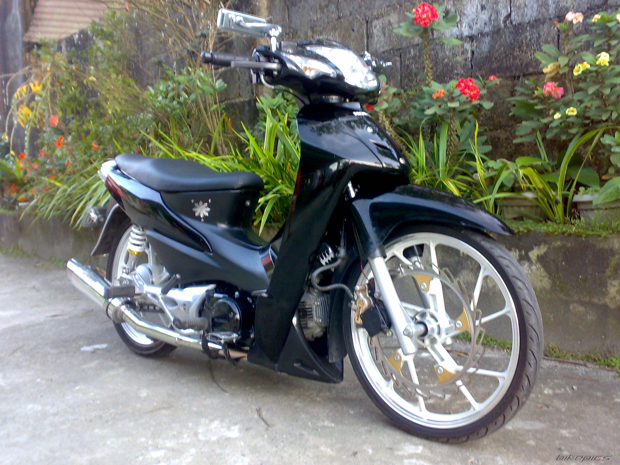 Photo 1737033