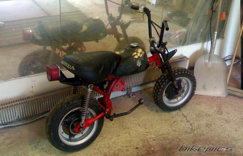 Photo 1737067