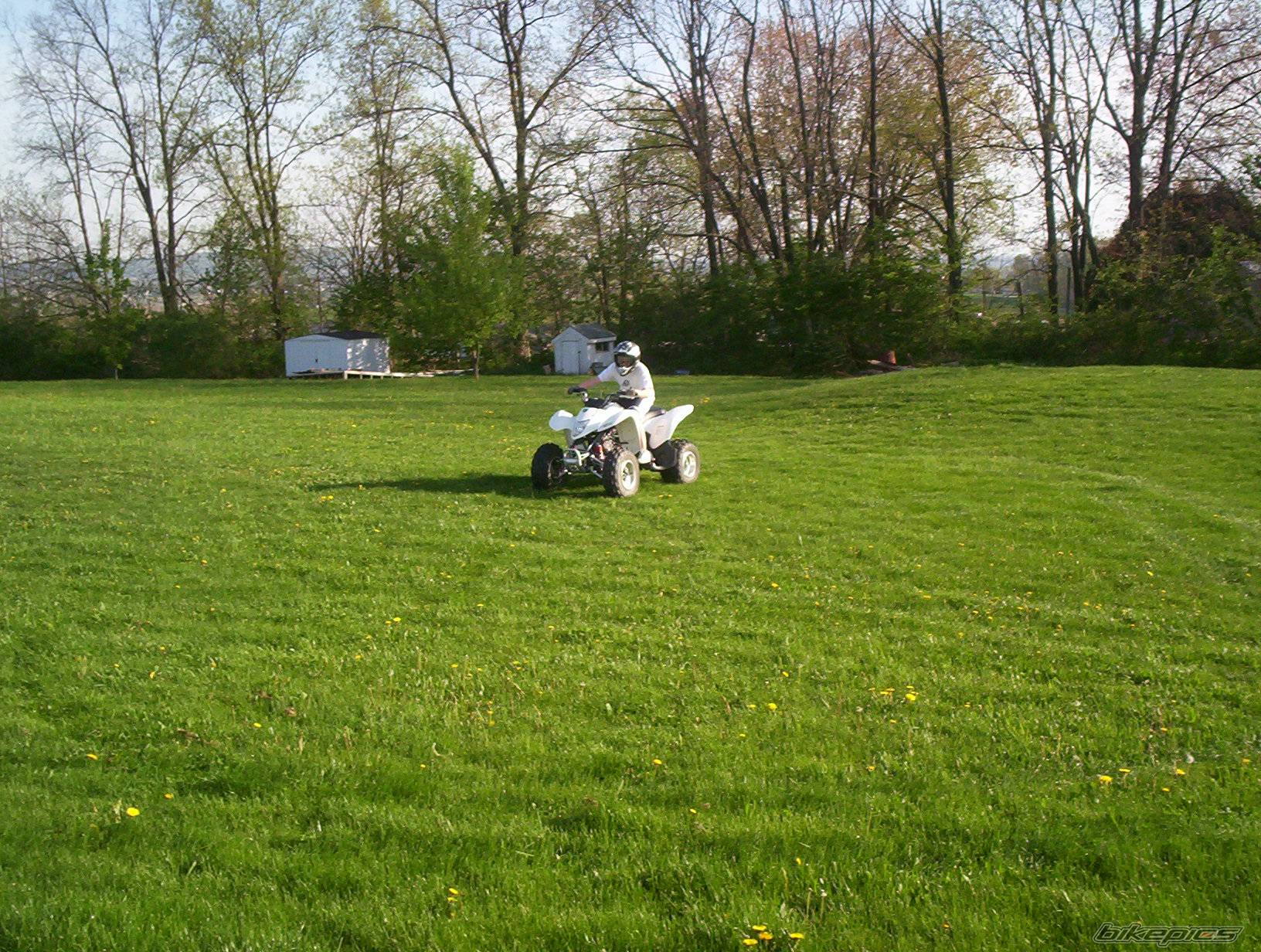 Photo 173709