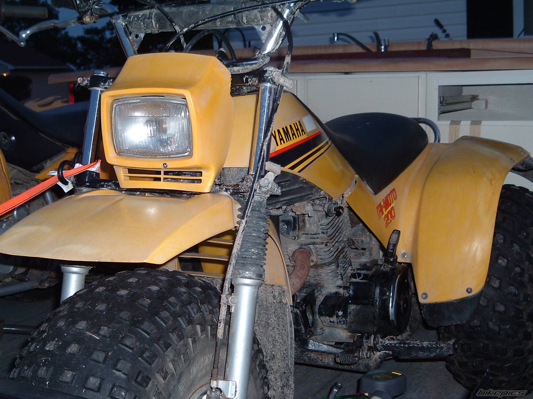 Photo 173719