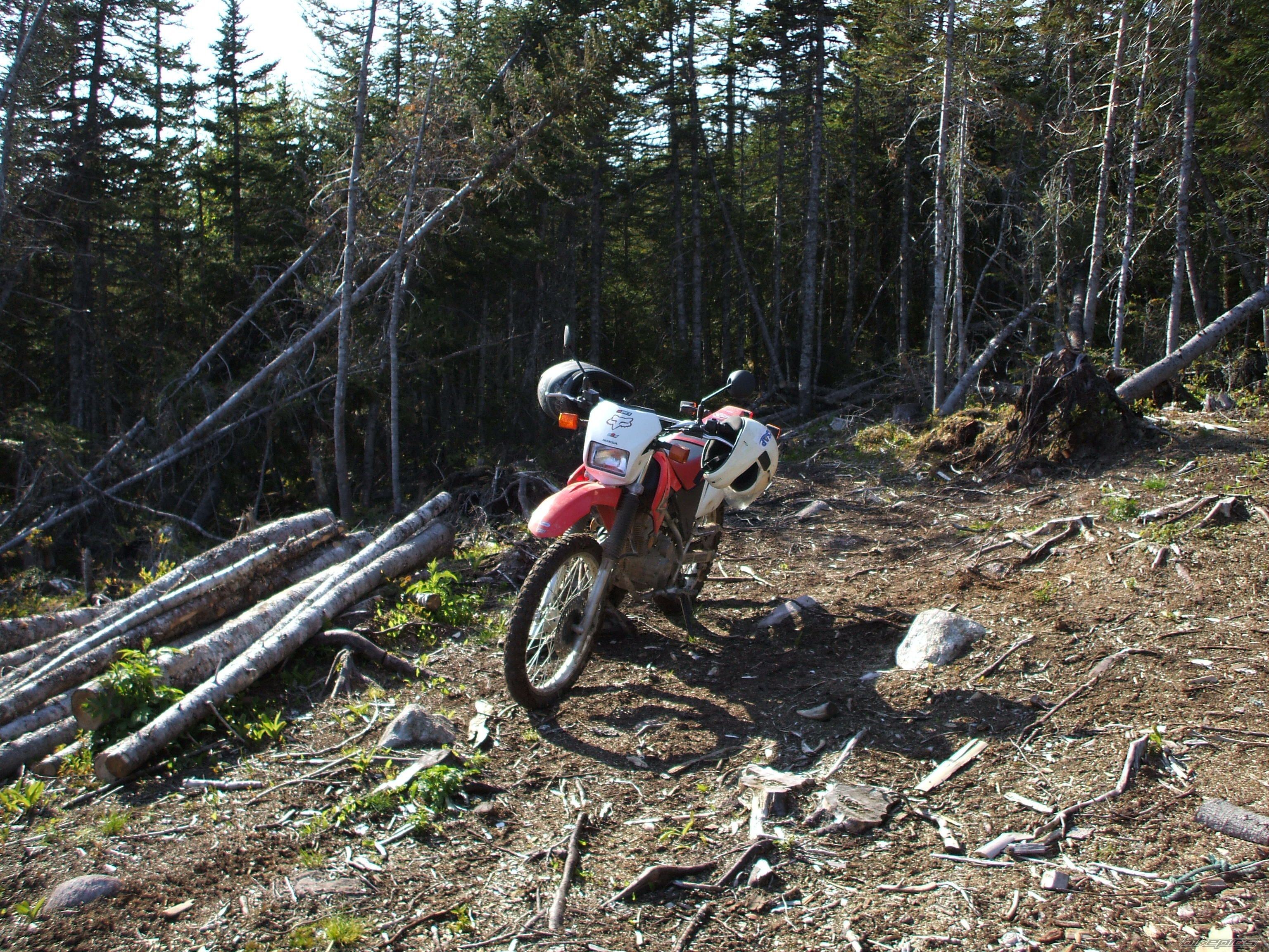 Bike Photo 1737225