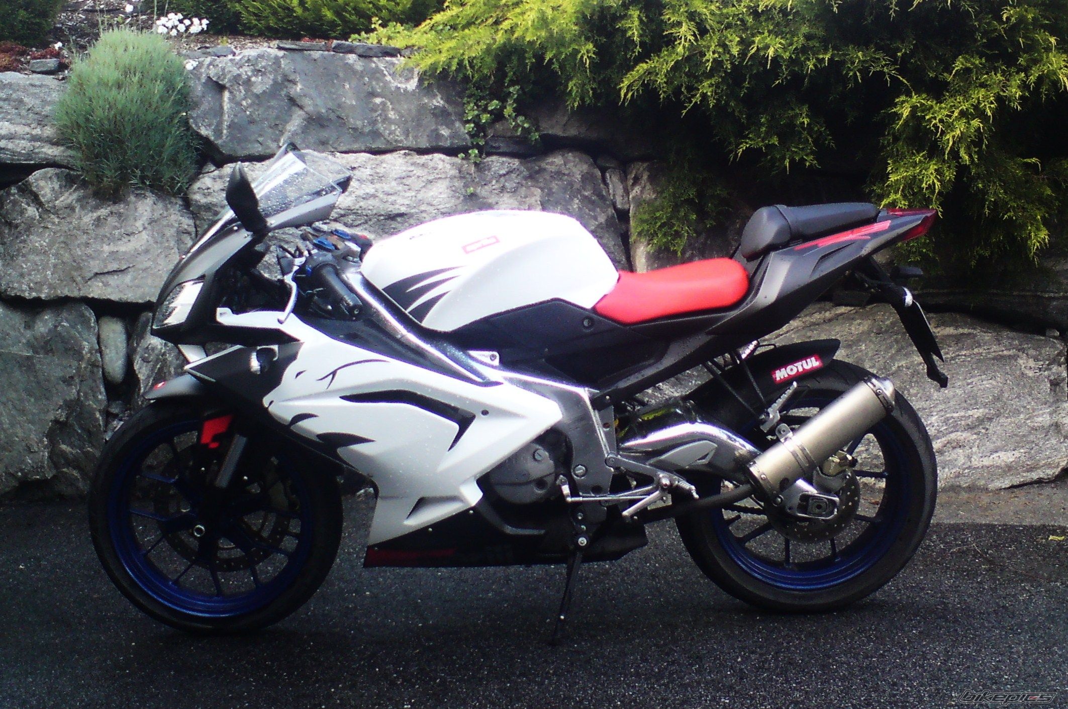 Photo 1737257