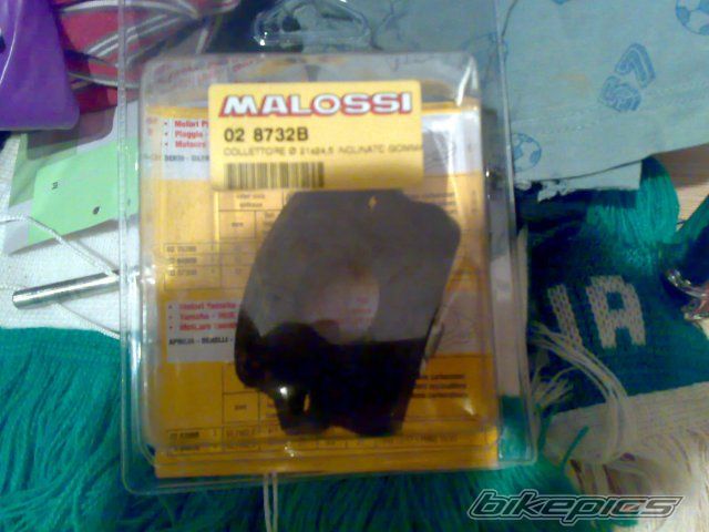 Photo 1737265
