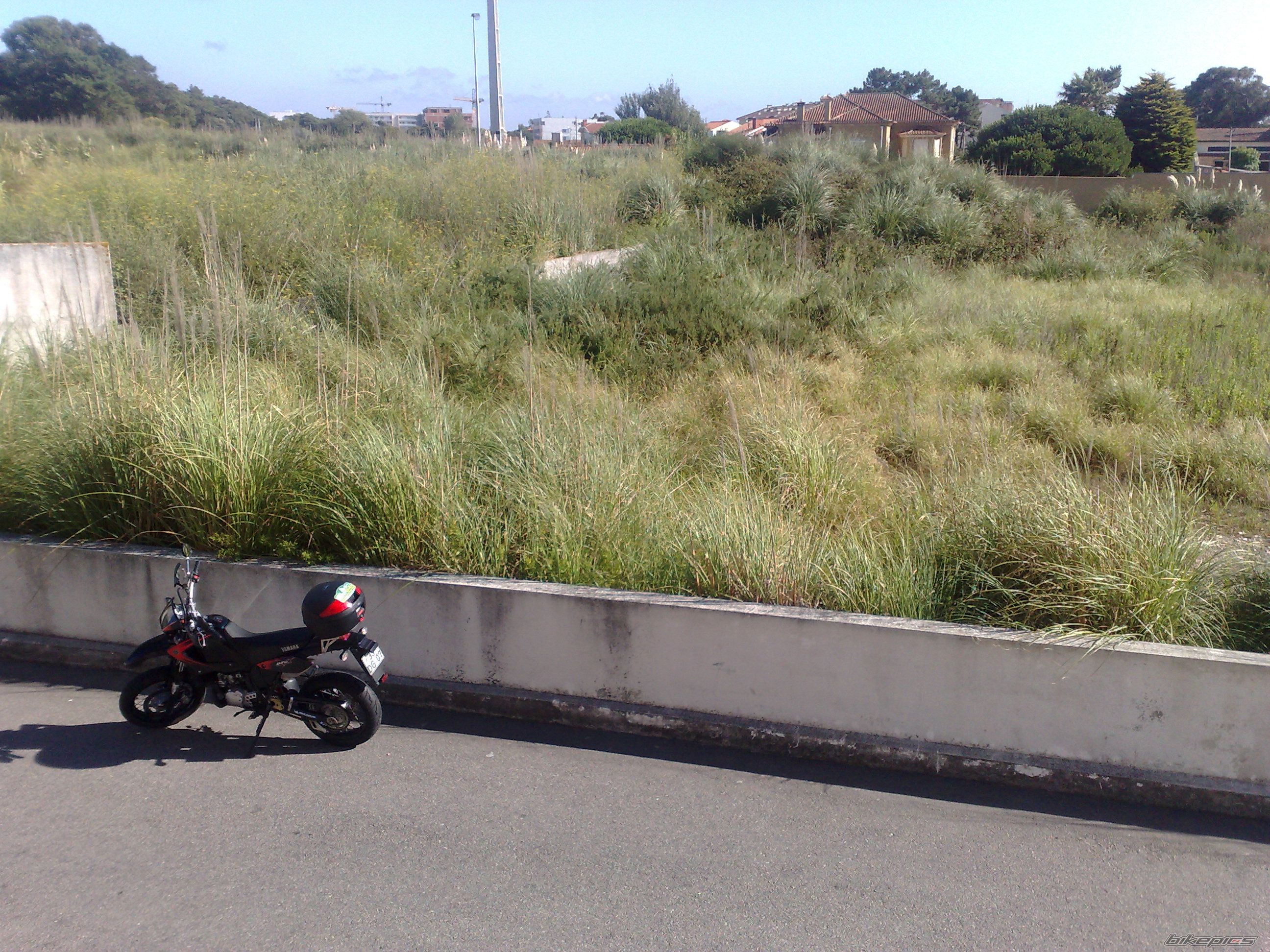 Photo 1737270