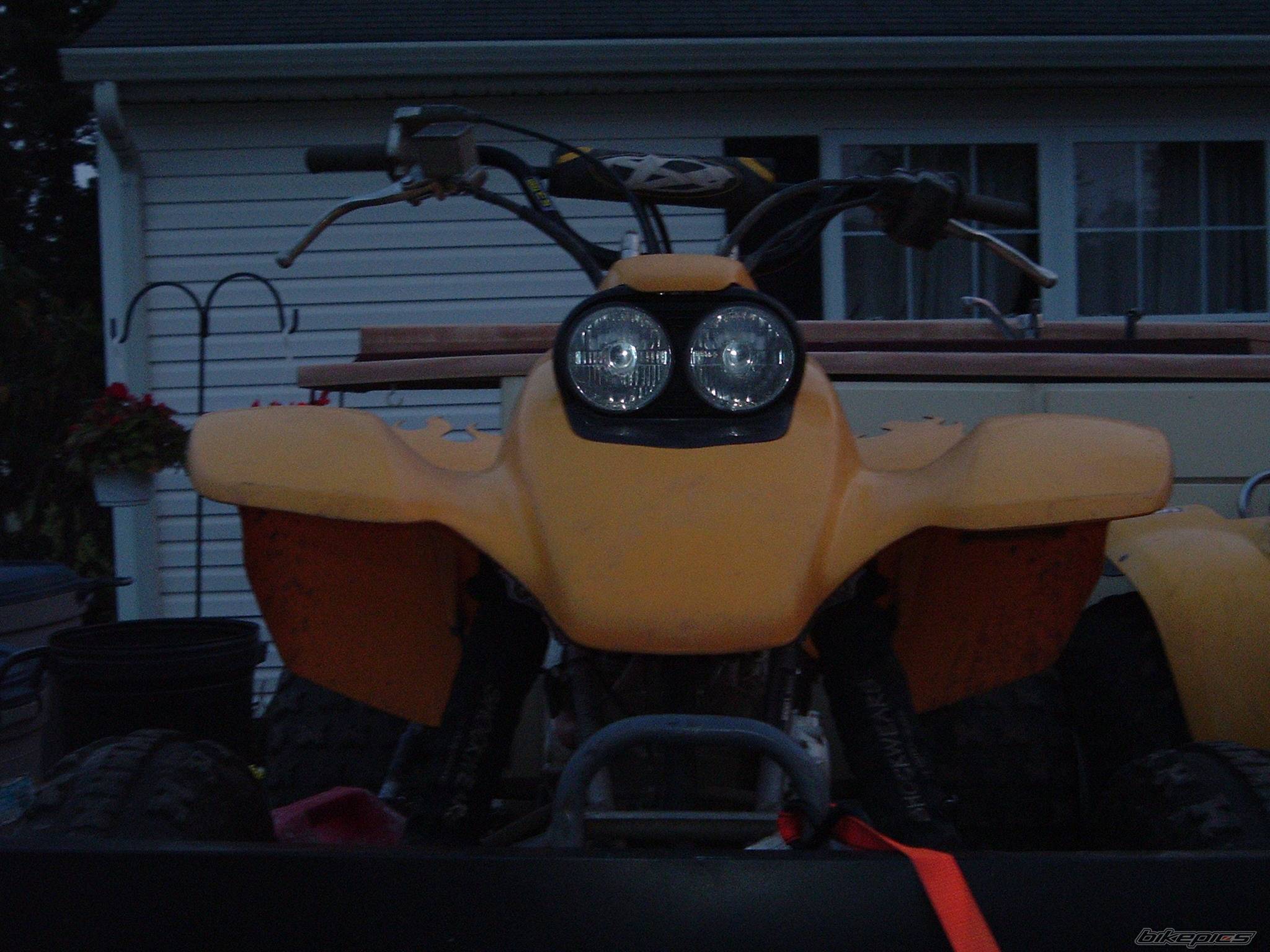 Photo 173728