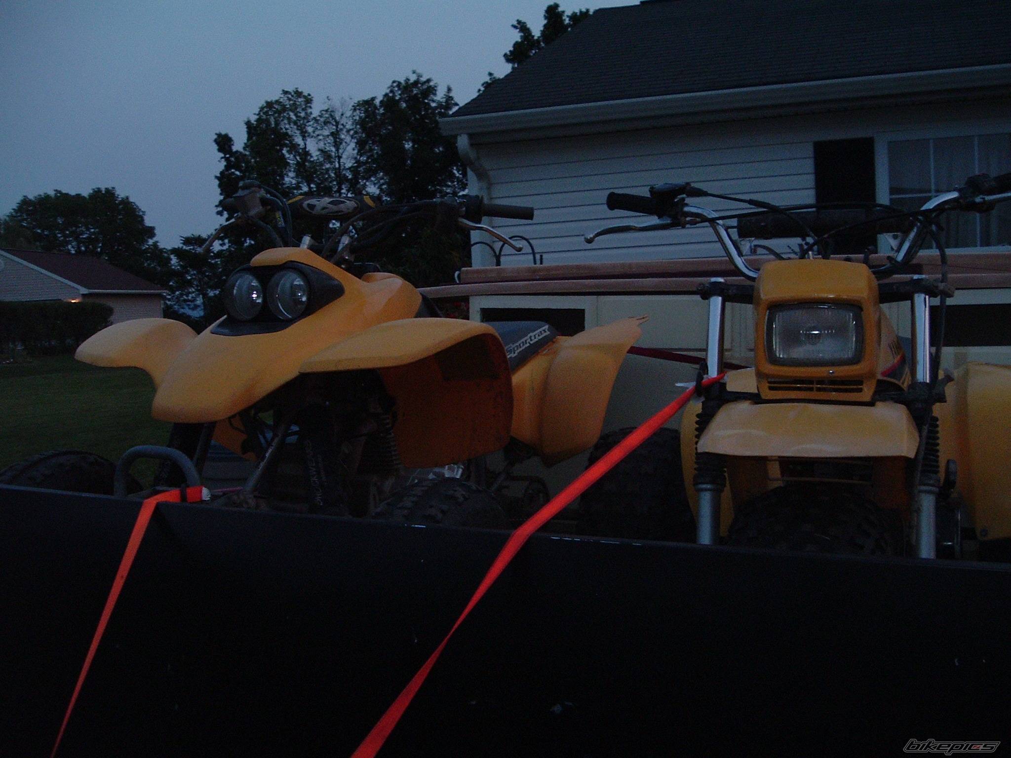 Photo 173729