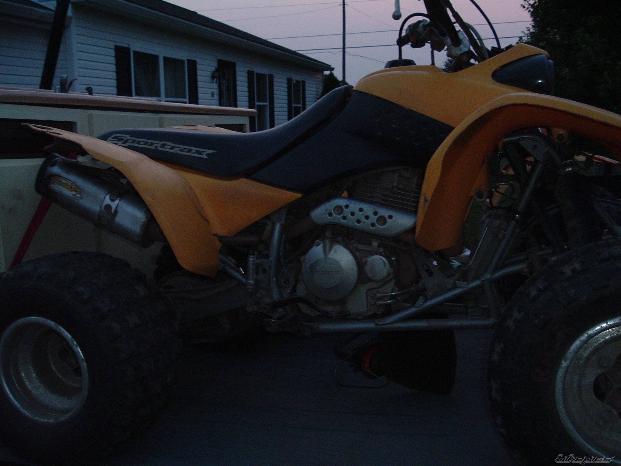 Photo 173731