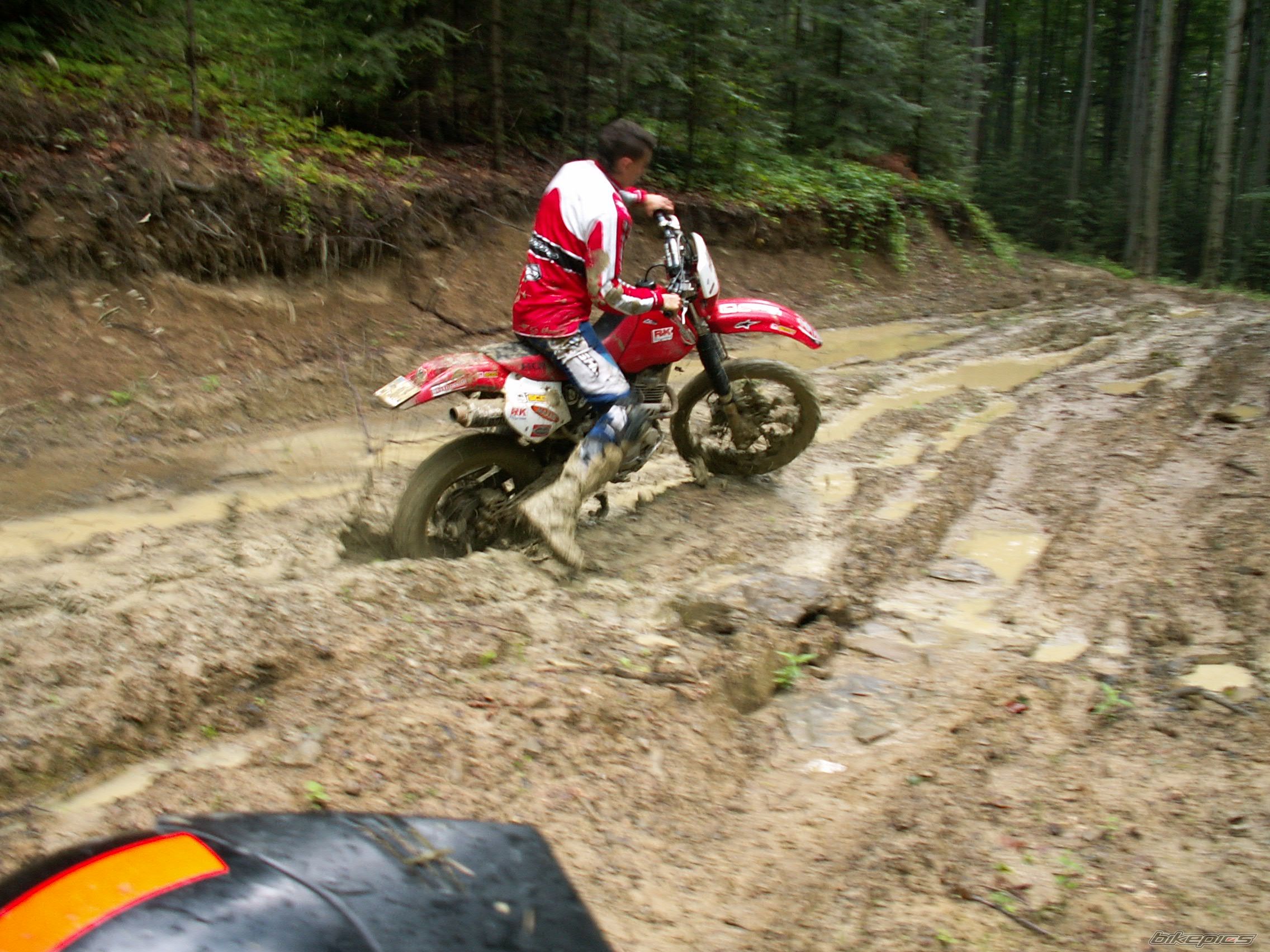 Photo 1737312