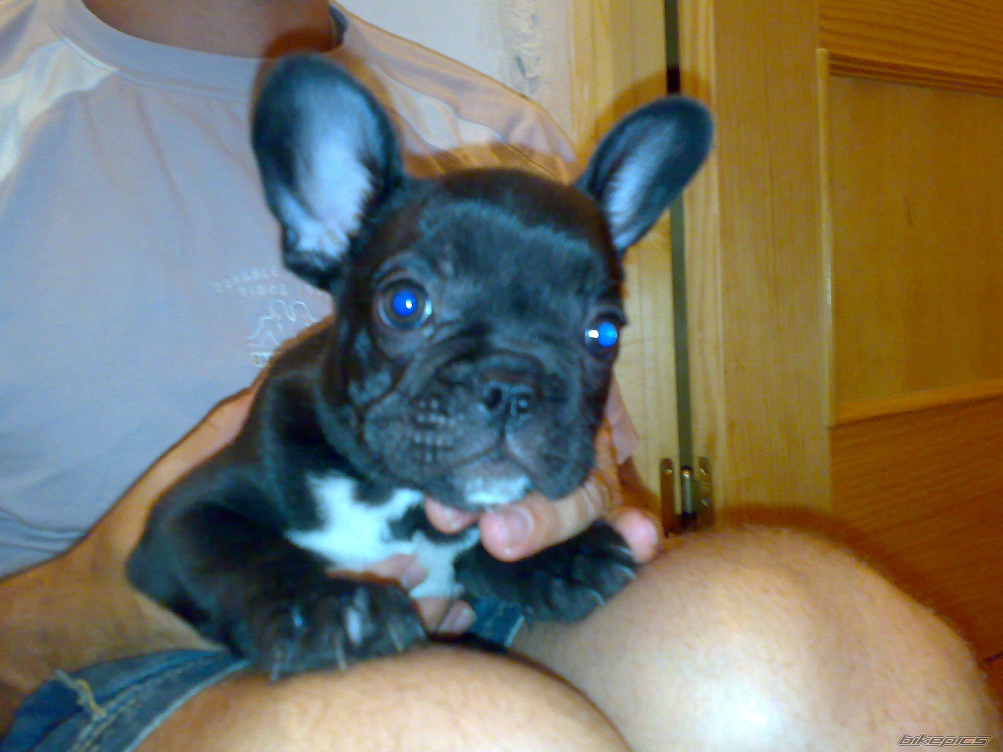 Photo 1737348