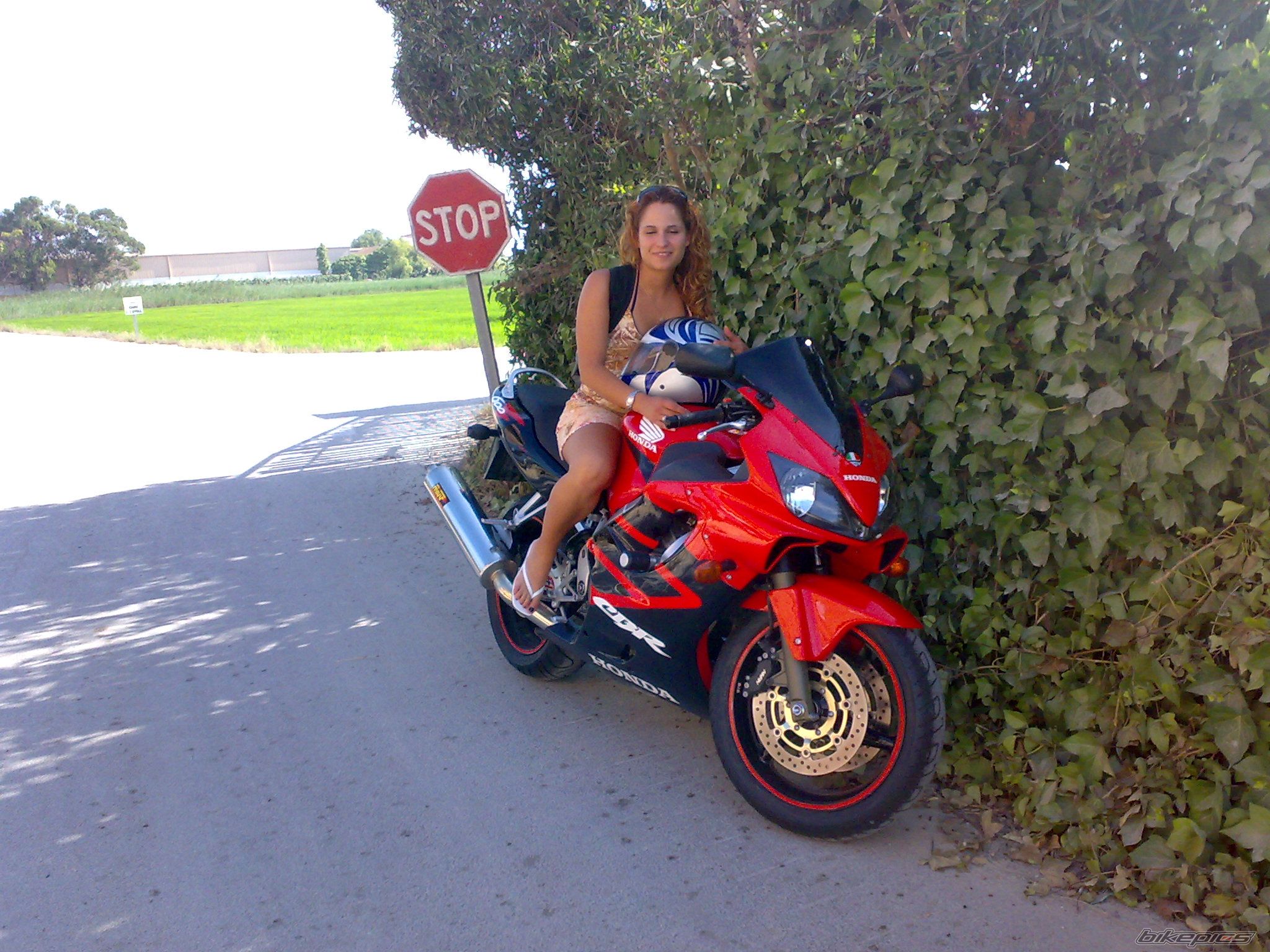 Photo 1737350