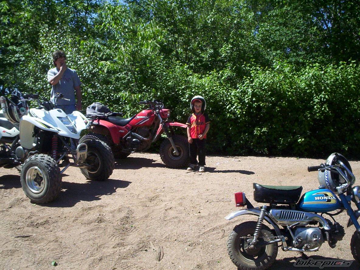 Photo 173737