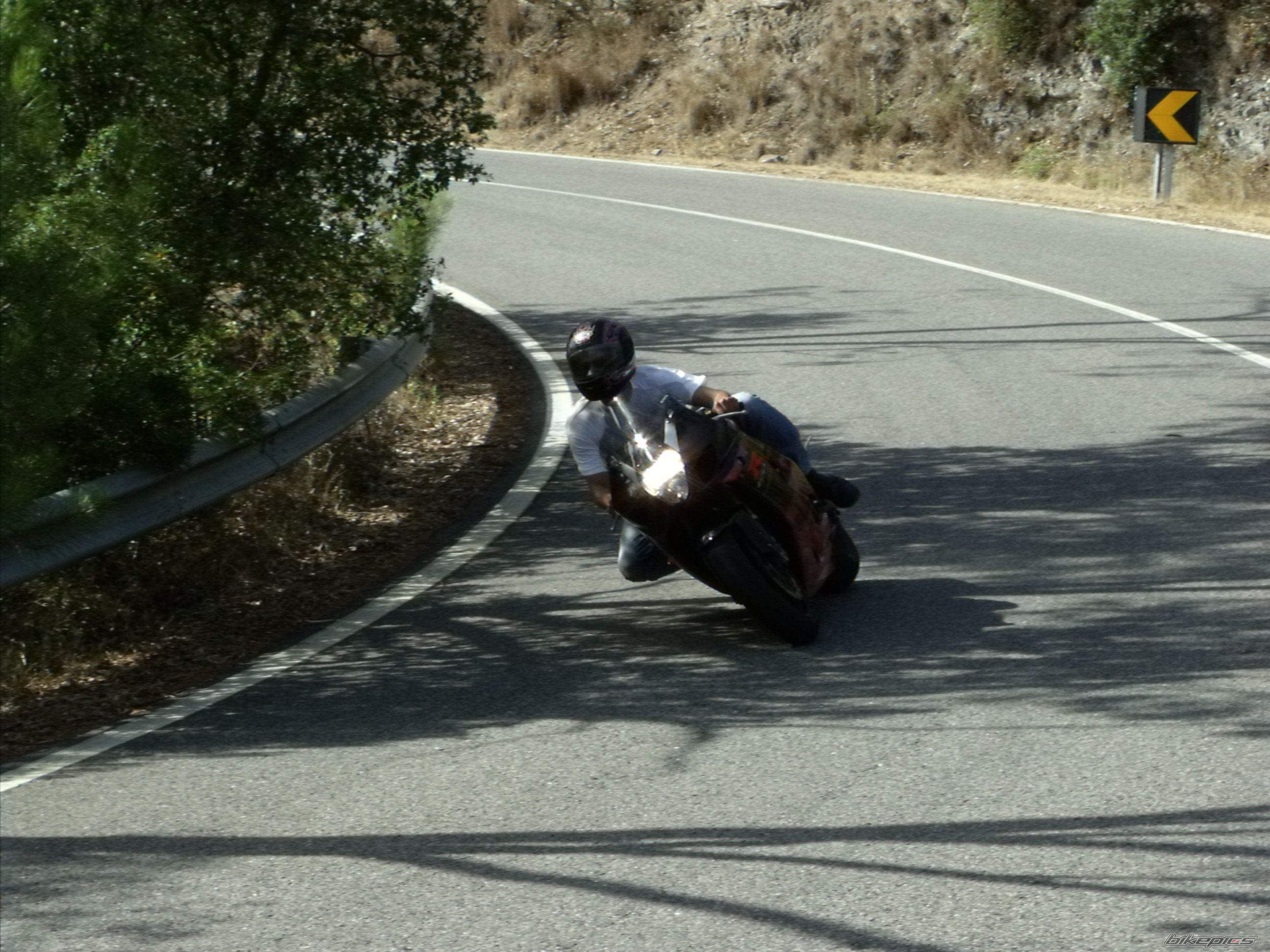 Photo 1737370