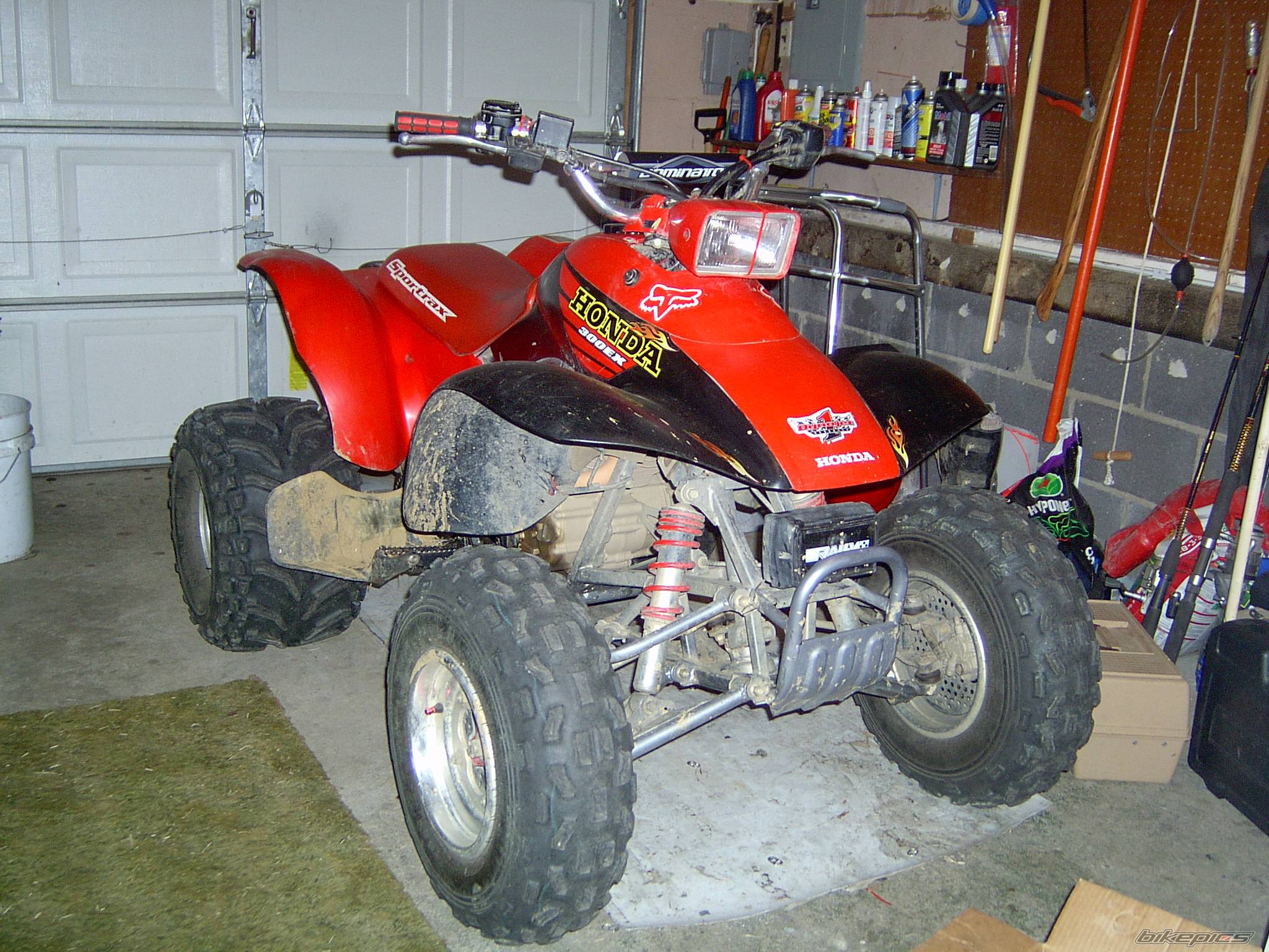 Photo 173742