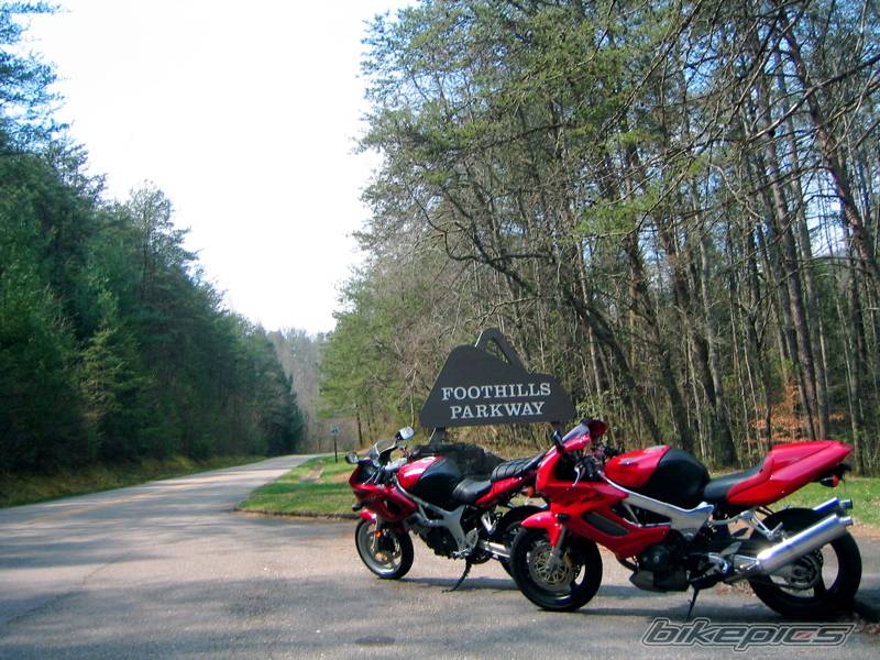 Photo 173749