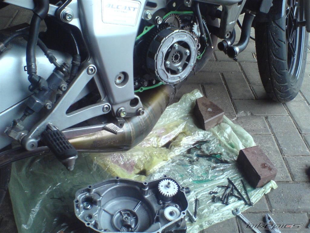Photo 1737509