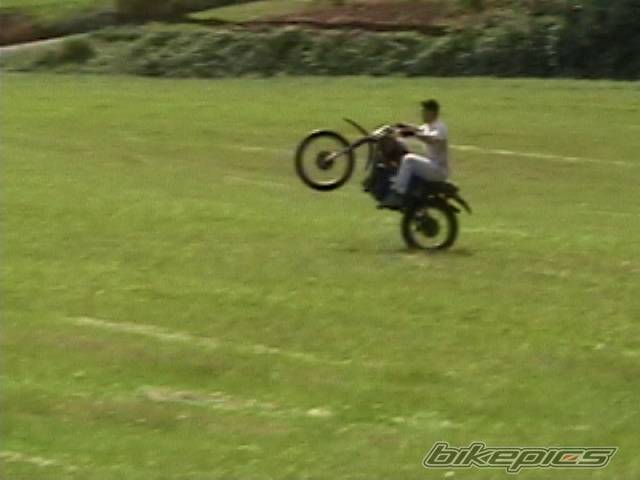 Photo 173758