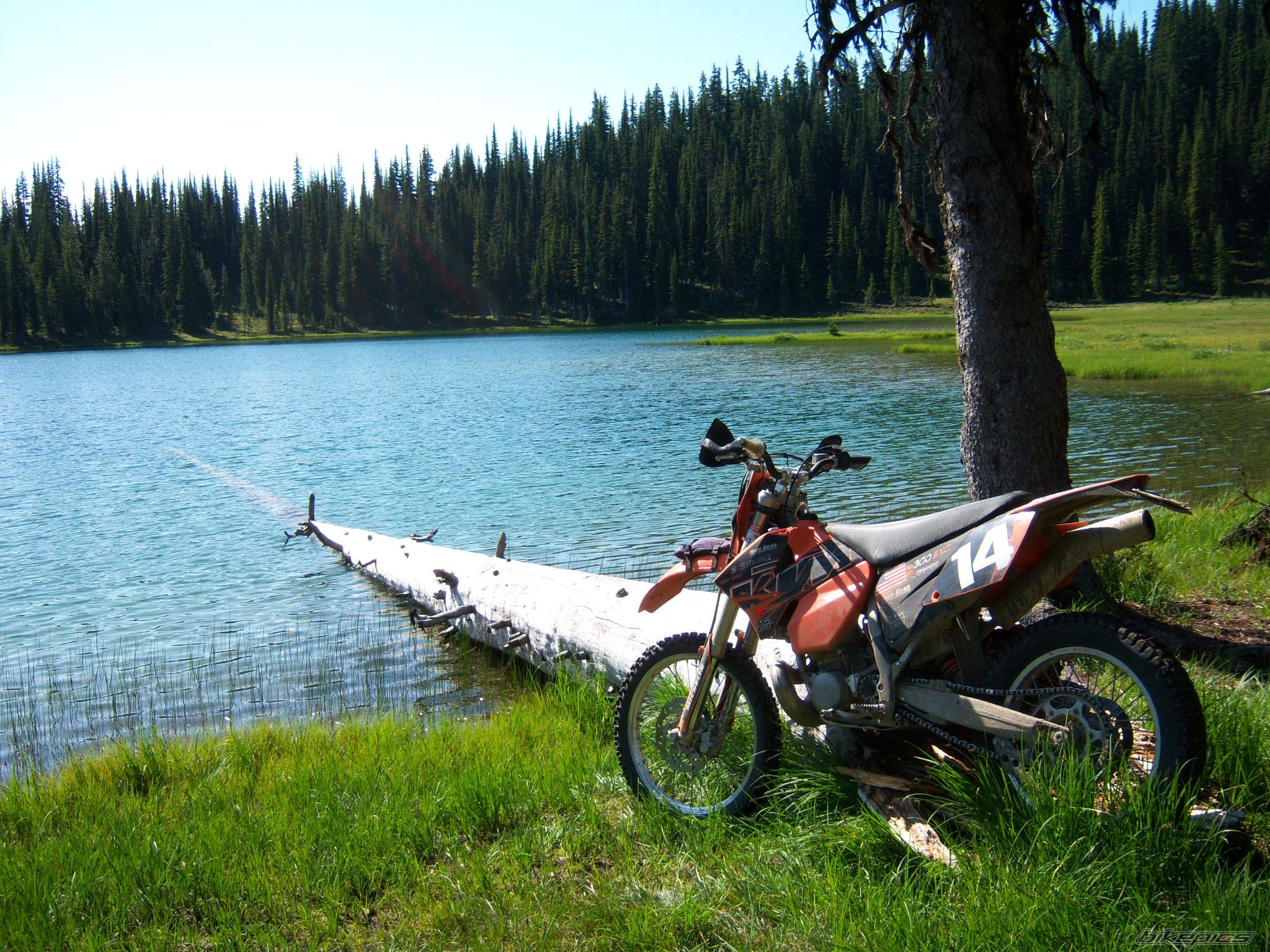 Photo 1737635