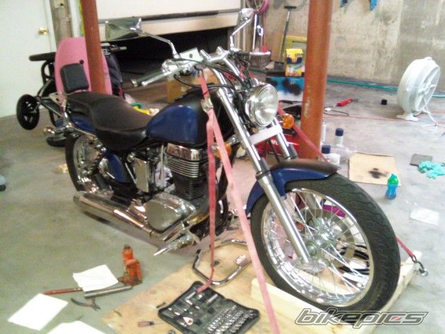 Photo 1737653