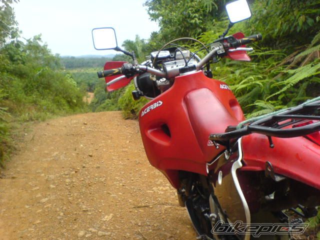 Photo 1737677