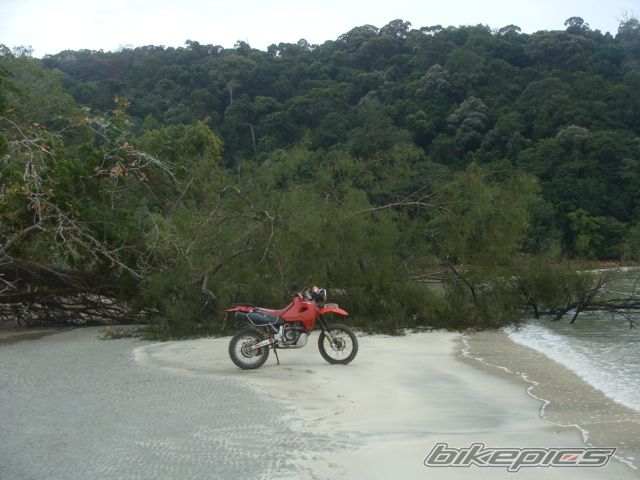 Photo 1737680
