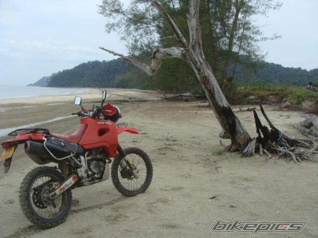 Photo 1737682