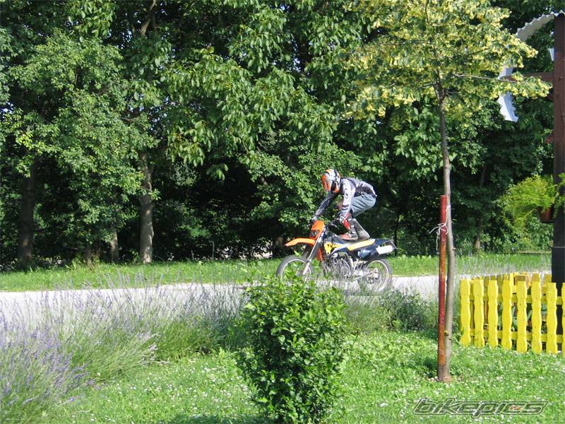 Photo 173794