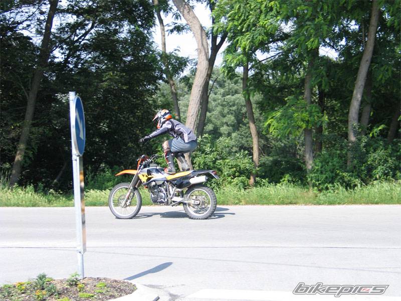 Photo 173797