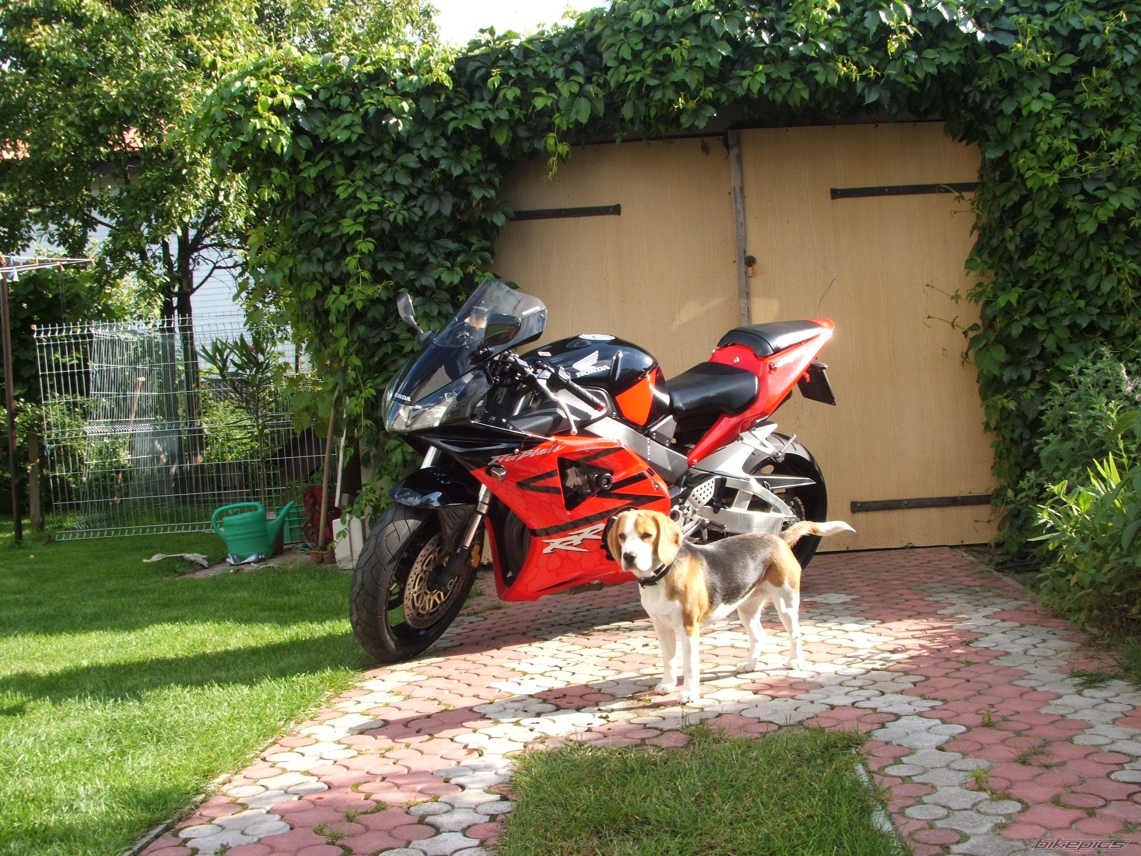 Bike Photo 1738153