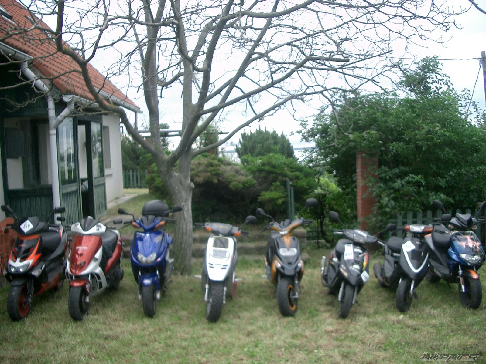 Photo 1738157