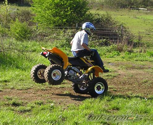 Photo 173826