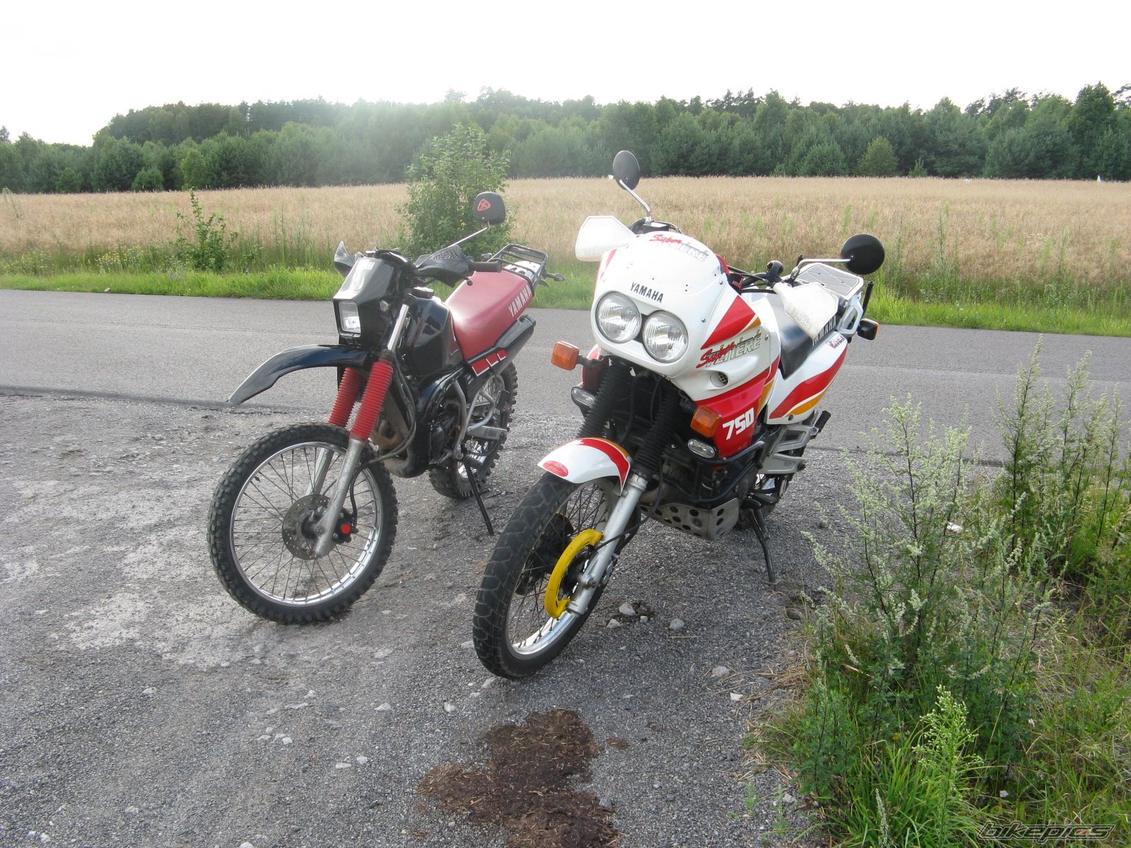 Bike Photo 1738276