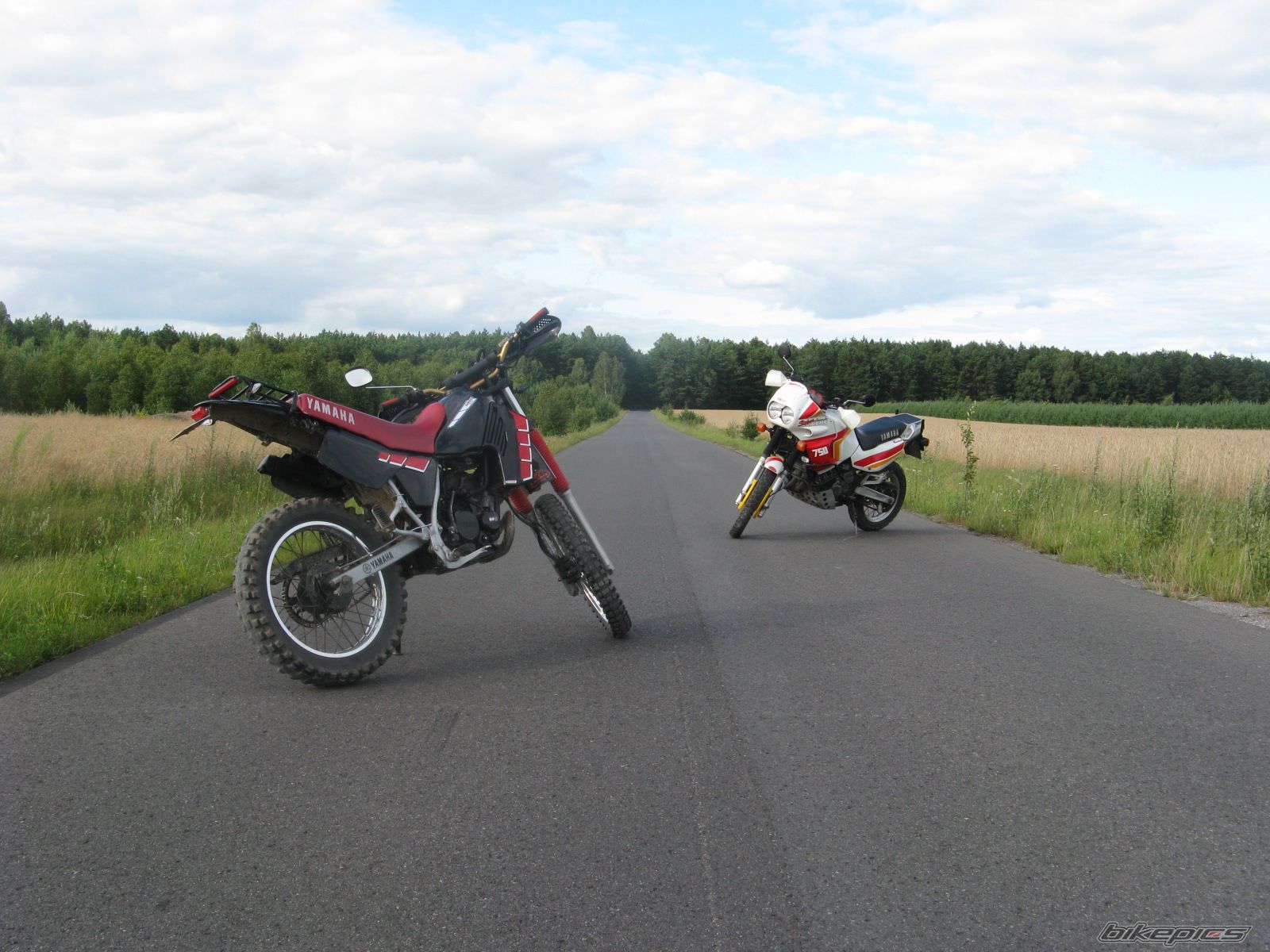 Photo 1738279