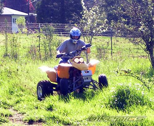 Photo 173828