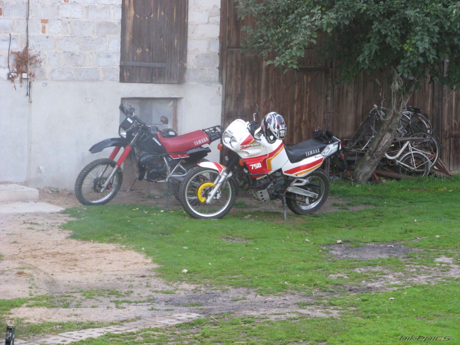 Photo 1738281