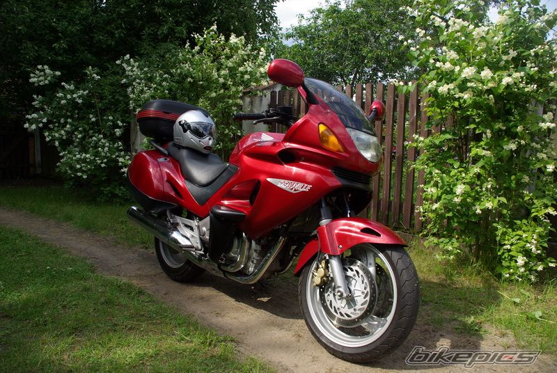 Bike Photo 1738334